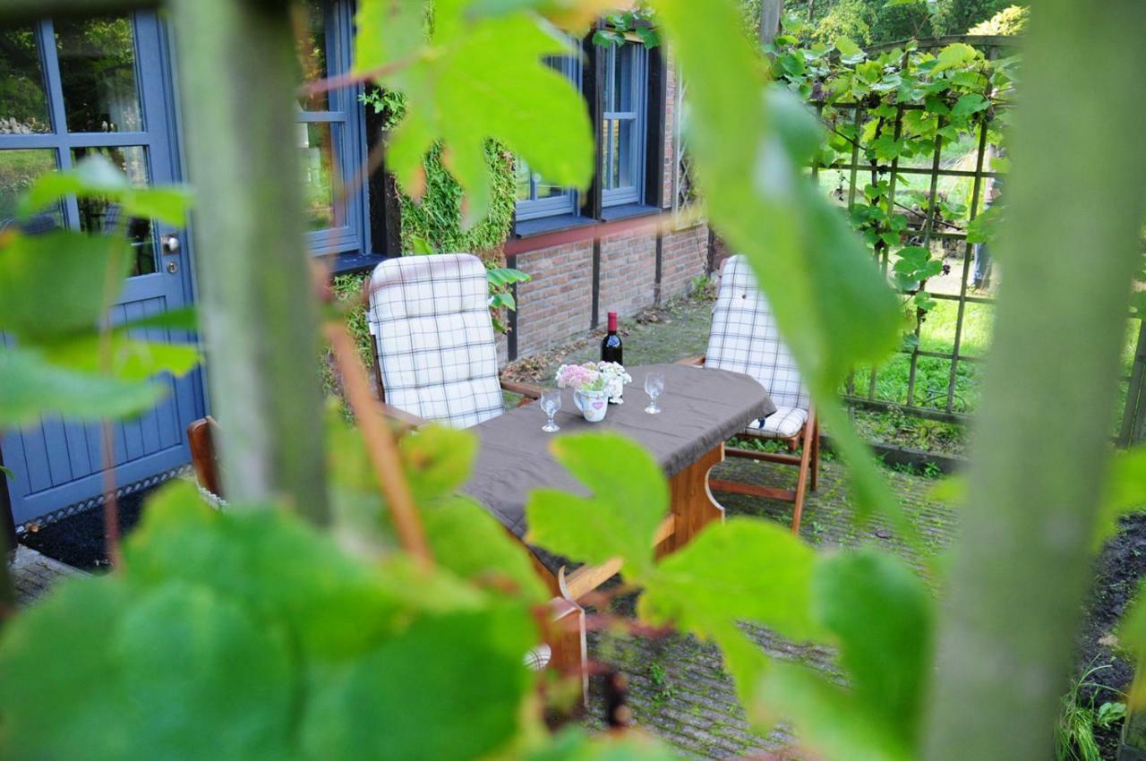 Appartement Aaltine 3 à Bad Bentheim Extérieur photo